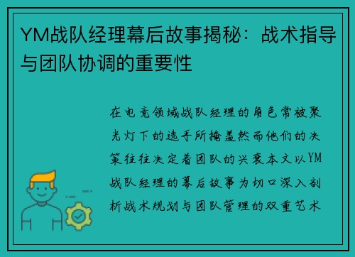 YM战队经理幕后故事揭秘：战术指导与团队协调的重要性